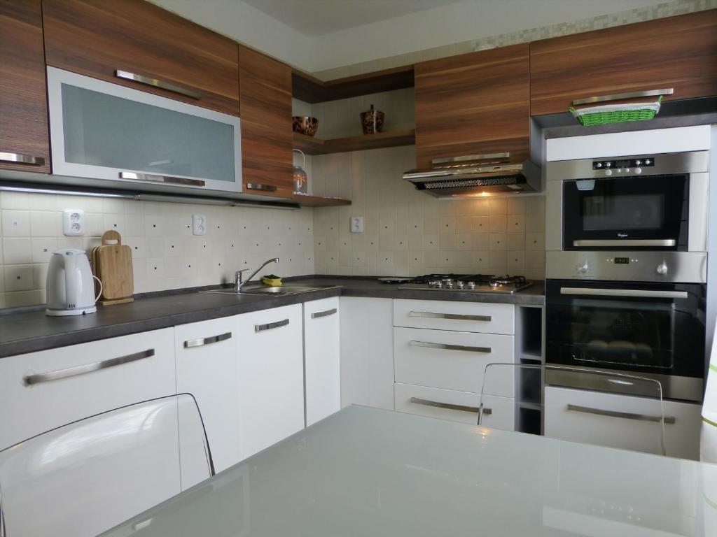 Apartment Jan プラハ 部屋 写真